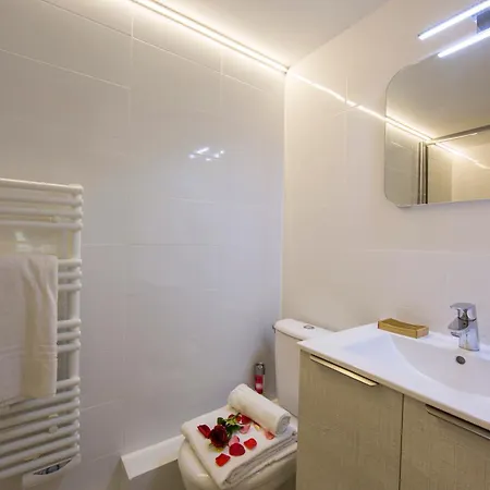 Apartmán Grand Roc - Campanules 308 - Happy Chamonix