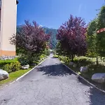 Grand Roc - Campanules 308 - Happy *