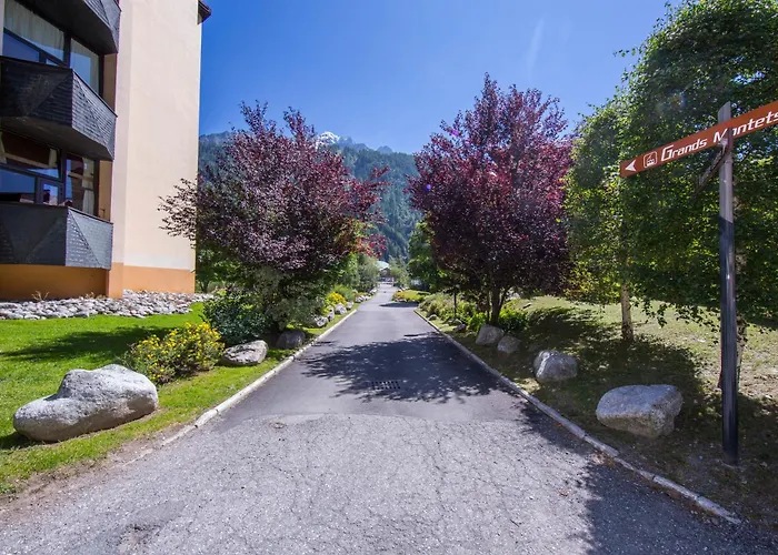 Grand Roc - Campanules 308 - Happy *